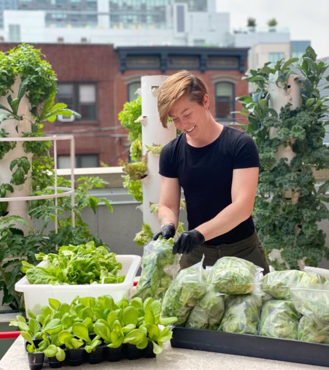 Maggie of @greenfoodsolutions mid harvest 💚 our farm towers are in full bloom with fresh greens and herbs to enhance our happy hour & breakfast + takeaway for members 
.
.
.
.
.
 workspace #officespace #focus #workhabits #workhereworkbetter #coworkingspace #tech #imaginemore #coworking #officestyle #smallbiz #freelancer #jerseycity #hoboken  #worklifebalance #manhattan  #create