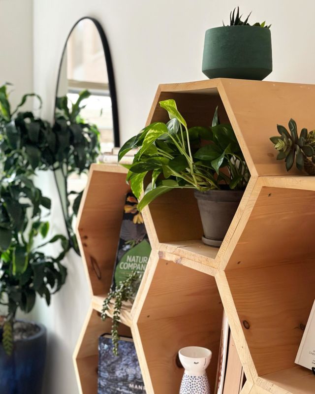 Our wellness room, take a break, meditate and reset for the week. 
🌱
.
.
.
.
.
.

#workstyle #officespace #focus #workhabits #workhereworkbetter #coworkingspace #tech #imaginemore #coworking #officestyle #smallbiz #freelancer #jerseycity #hoboken #worklifebalance #manhattan #create #nature #earthday #retreat #jerseycityart #jerseycity #jc #jerseycityartist #jerseycityevents #andco #events #community #jerseycitynj #jerseycitylocal